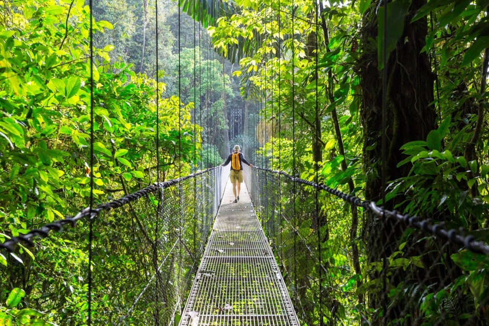 Costa Rica jungle bridge, fundraising ideas, charity ideas, silent auction items, travel fundraising events