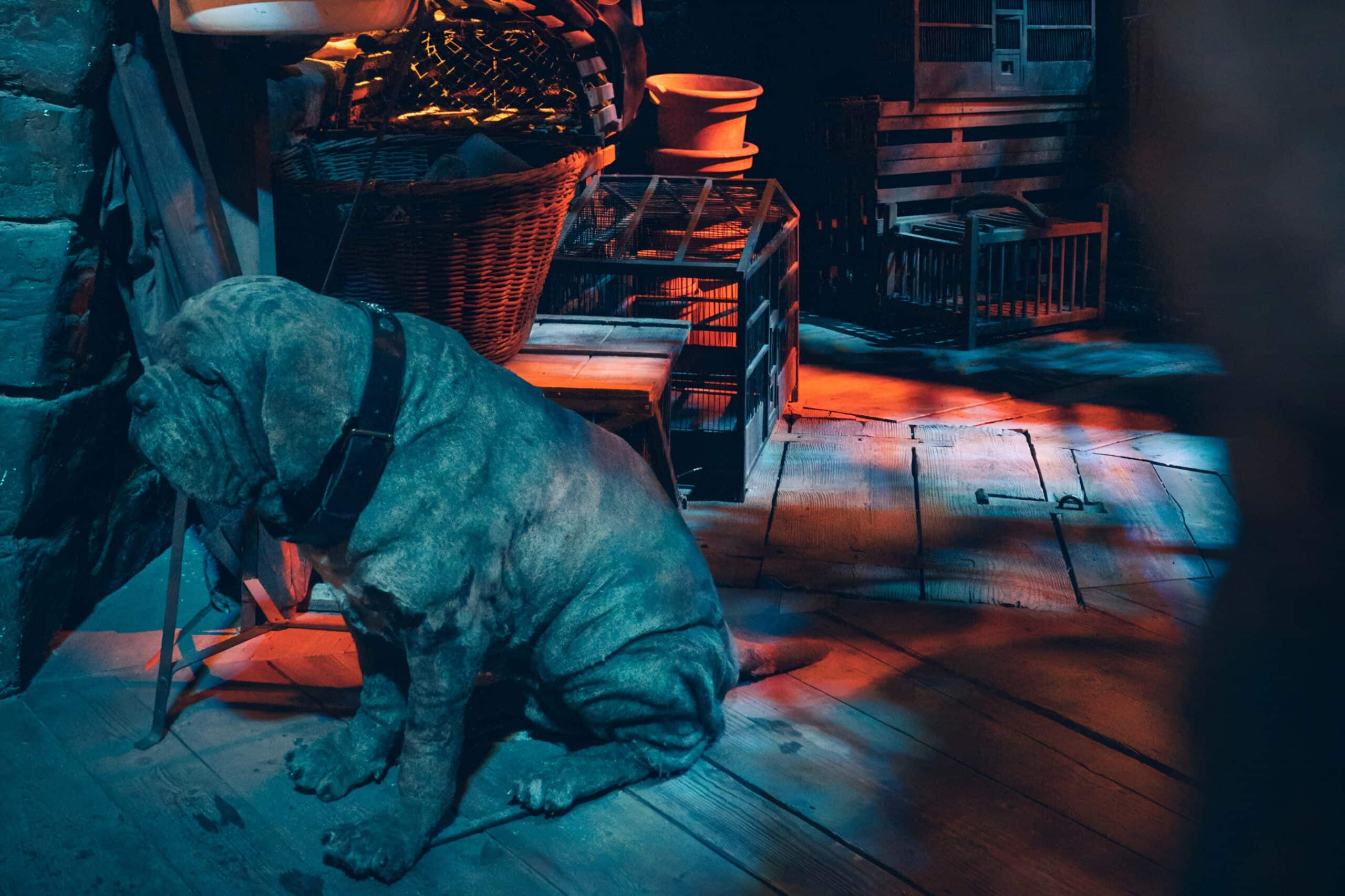 Harry Potter dog statue, charity auction travel packages, vacation fundraising, travel fundraising, fundraising ideas, charity ideas, silent auction items, travel fundraising events