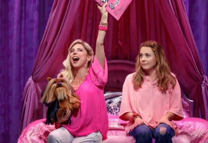 Broadway play in Chicago, fundraising ideas, charity ideas, silent auction items, travel fundraising events