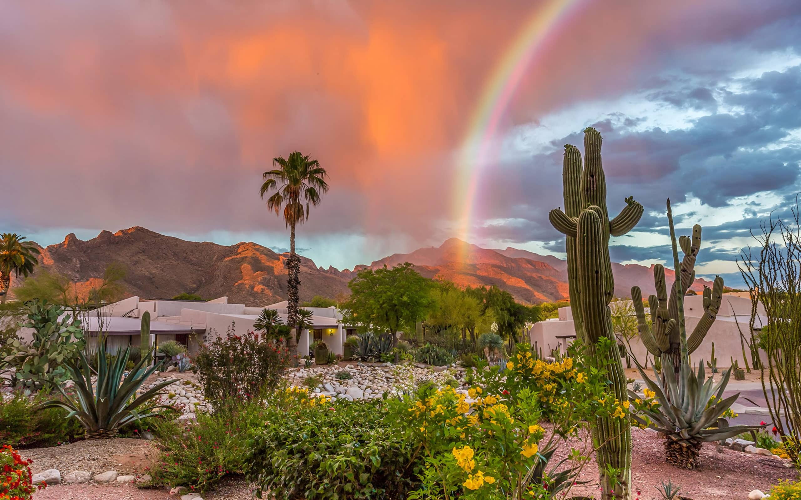 Scottsdale desert and rainbow, fundraising ideas, charity ideas, silent auction items, travel fundraising events