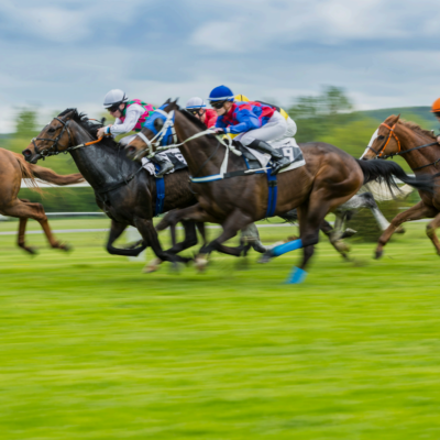 2026 Kentucky Derby Experience