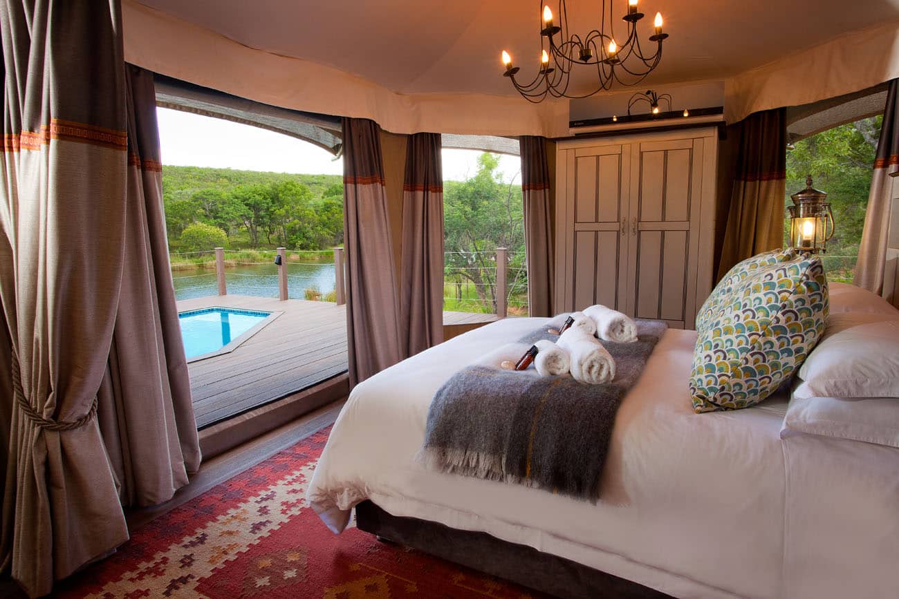 South African Luxury Safari, fundraising ideas, charity ideas, silent auction items, travel fundraising events