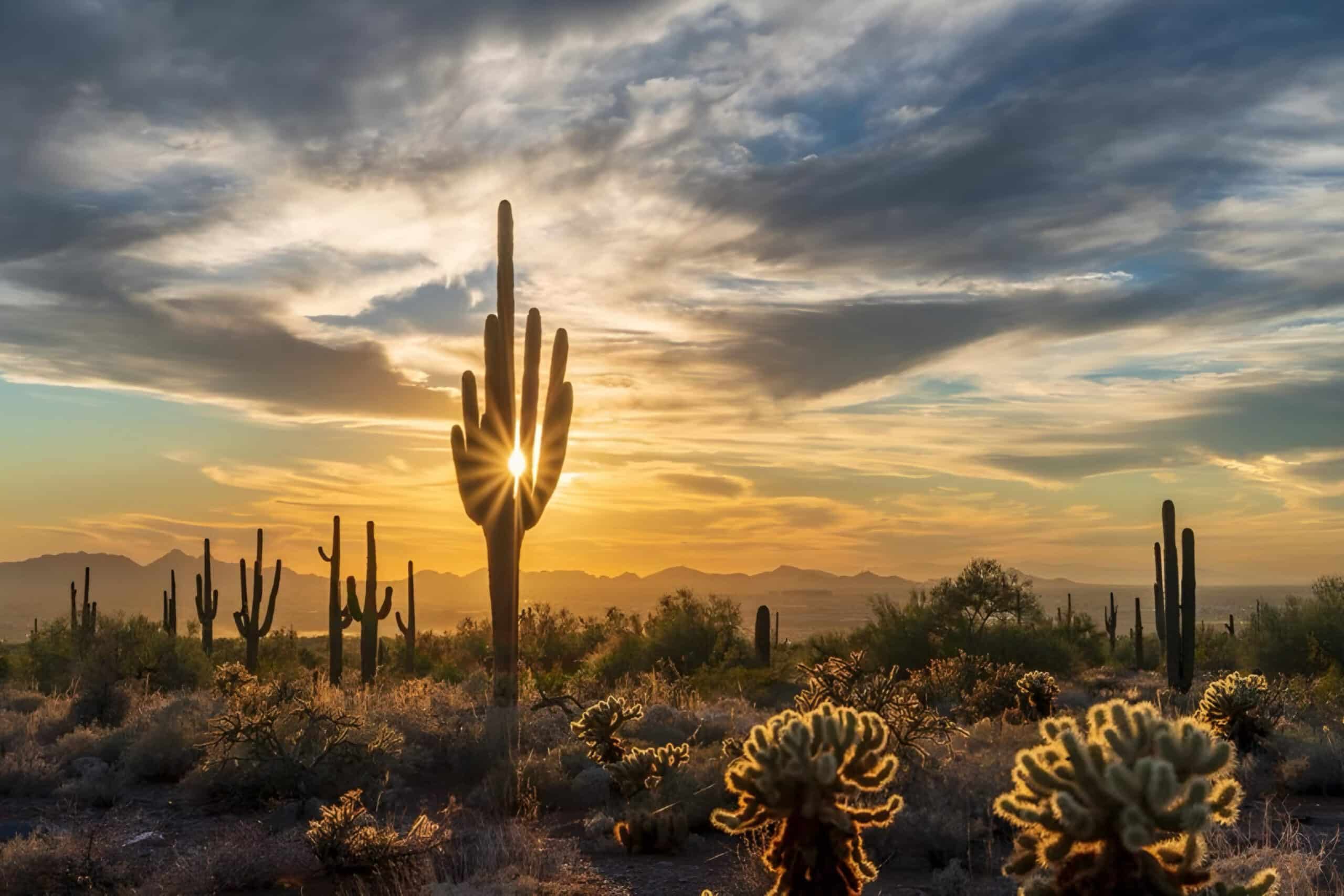 Desert, charity auction travel packages, vacation fundraising, travel fundraising, fundraising ideas, charity ideas, silent auction items, travel fundraising events