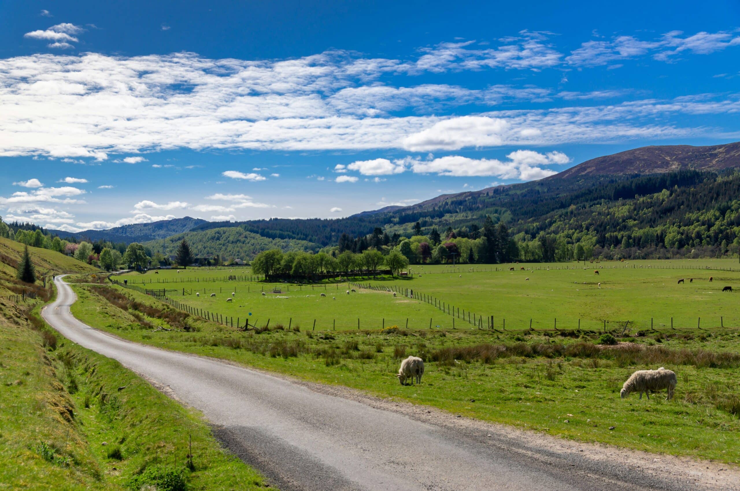 Scotland country, charity auction travel packages, vacation fundraising, travel fundraising, fundraising ideas, charity ideas, silent auction items, travel fundraising events