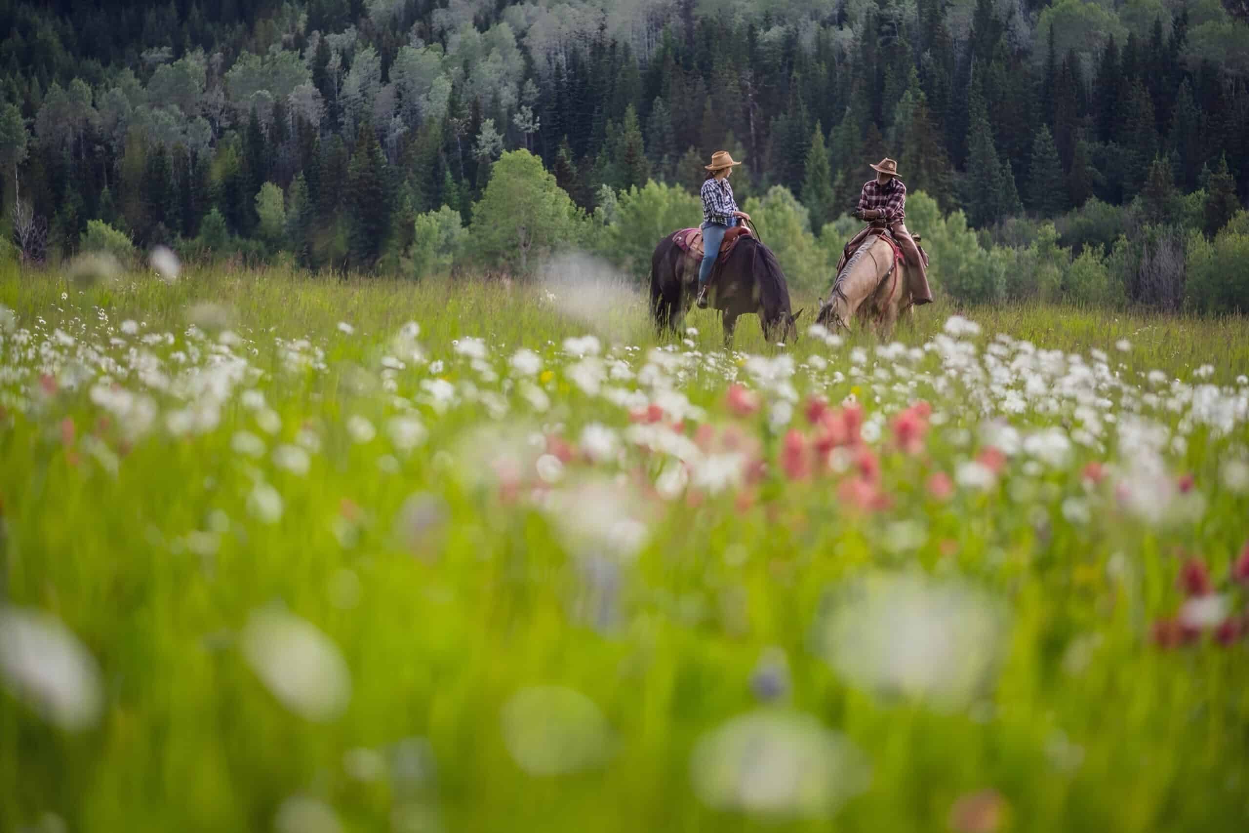 two people on horses in field, charity auction travel packages, vacation fundraising, travel fundraising, fundraising ideas, charity ideas, silent auction items, travel fundraising events