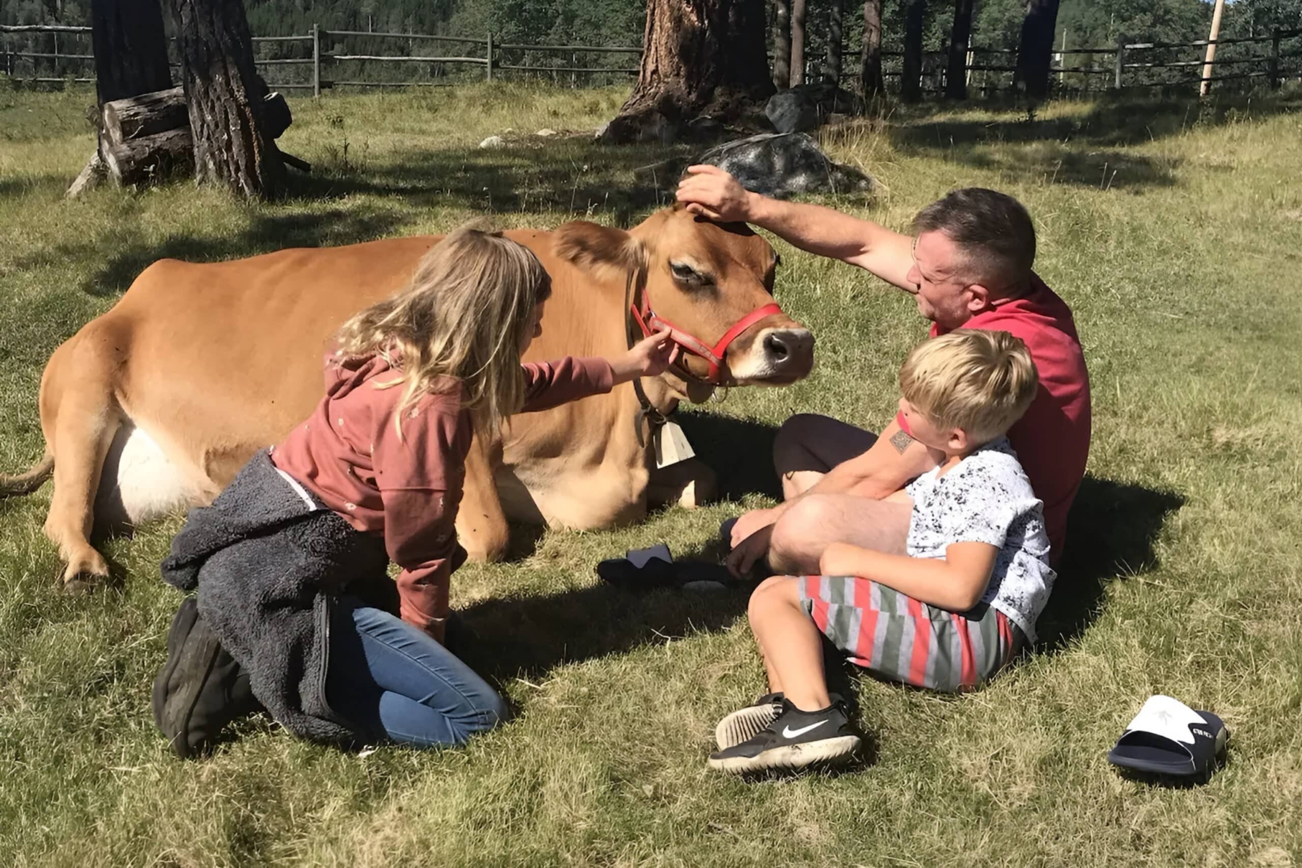father and kids petting cow, charity auction travel packages, vacation fundraising, travel fundraising, fundraising ideas, charity ideas, silent auction items, travel fundraising events