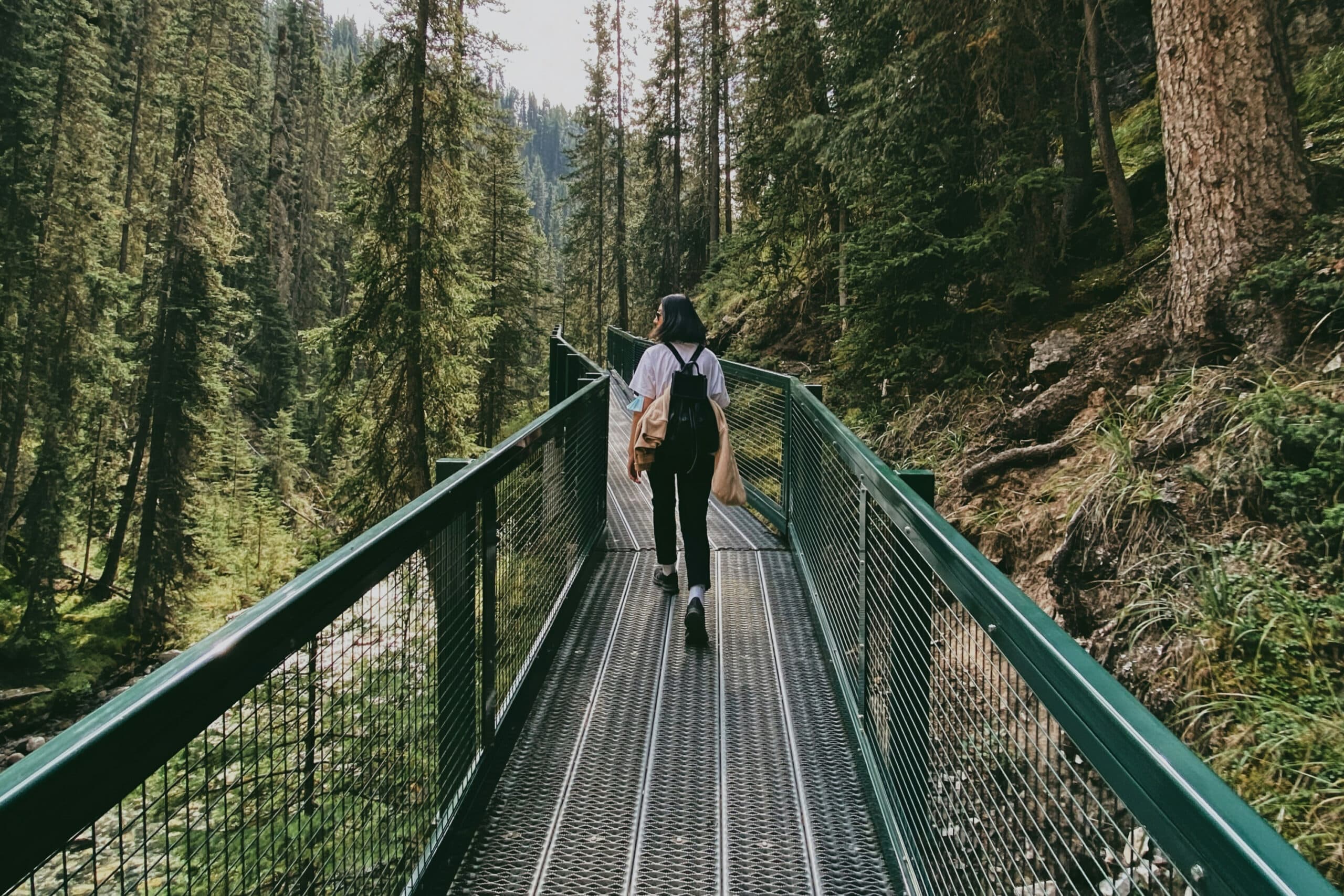 walkway in Banff national park, charity auction travel packages, vacation fundraising, travel fundraising, fundraising ideas, charity ideas, silent auction items, travel fundraising events