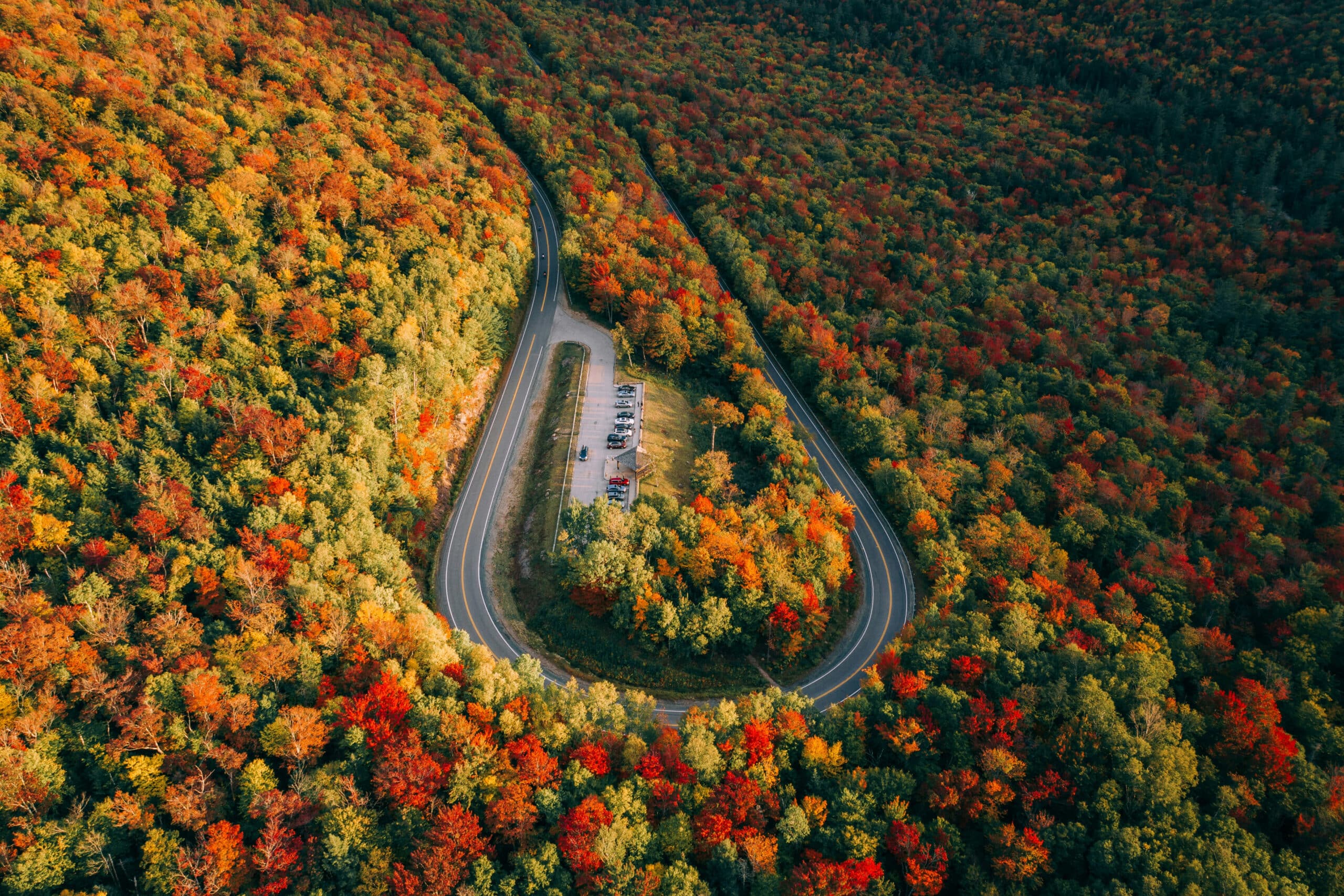 overhead view of road surrounded by trees, charity auction travel packages, vacation fundraising, travel fundraising, fundraising ideas, charity ideas, silent auction items, travel fundraising events
