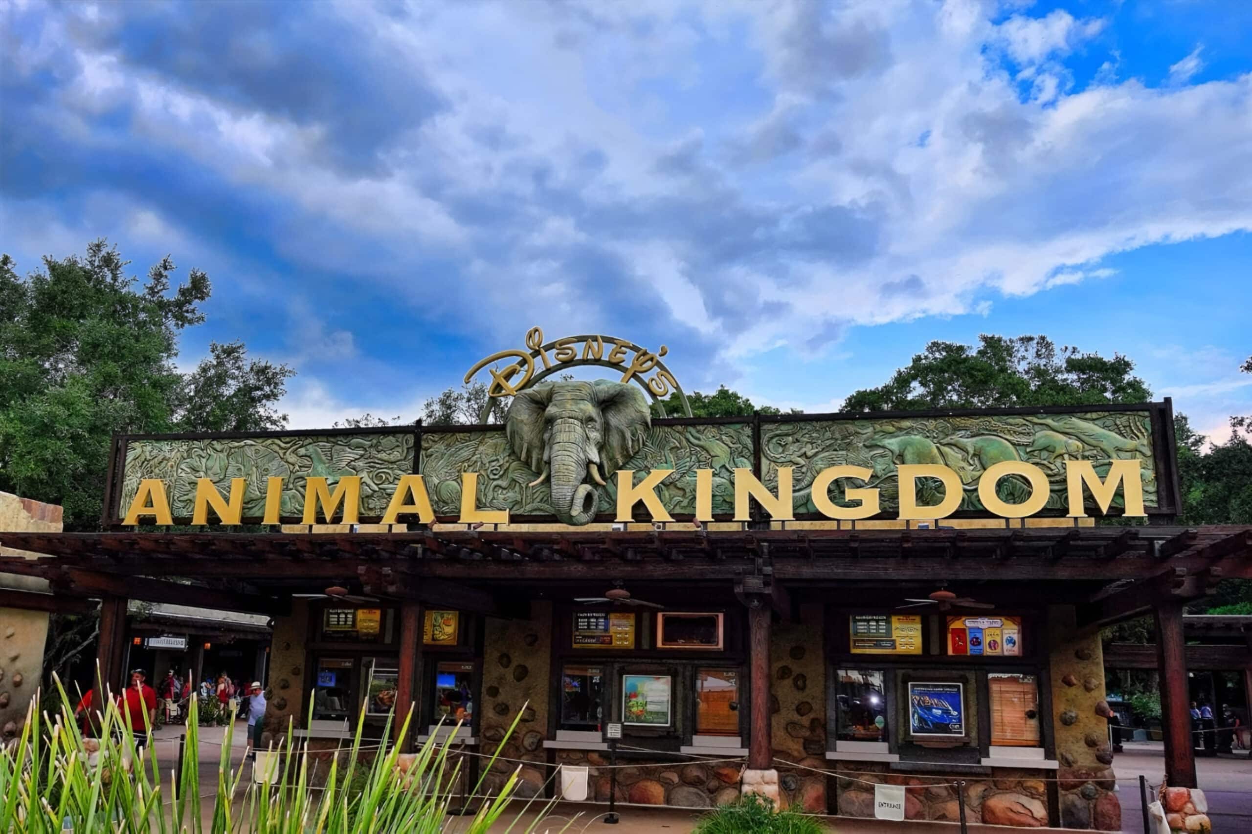 Animal Kingdom sign Orlando, charity auction travel packages, vacation fundraising, travel fundraising, fundraising ideas, charity ideas, silent auction items, travel fundraising events