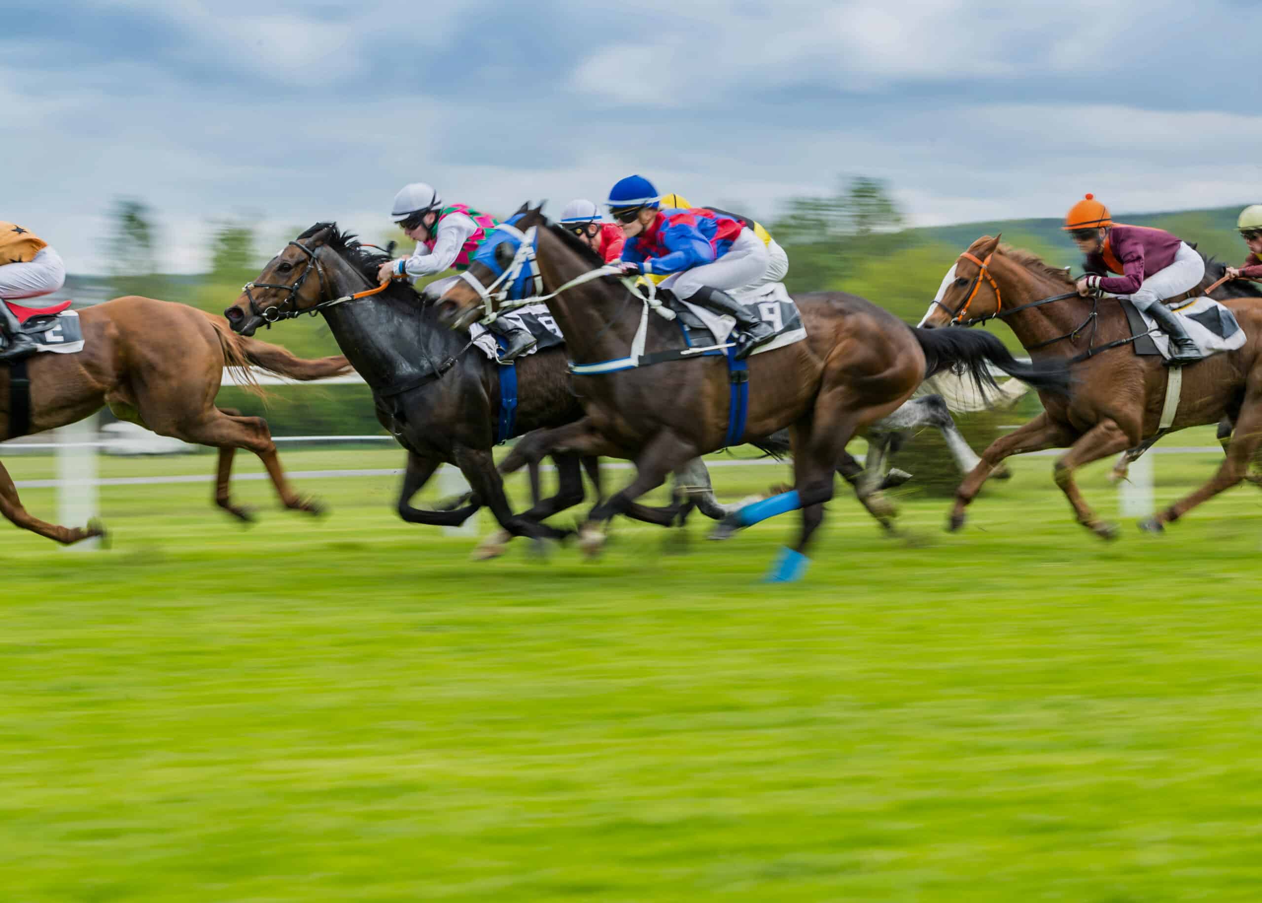 Kentucky Derby horses racing, charity auction travel packages, vacation fundraising, travel fundraising, fundraising ideas, charity ideas, silent auction items, travel fundraising events