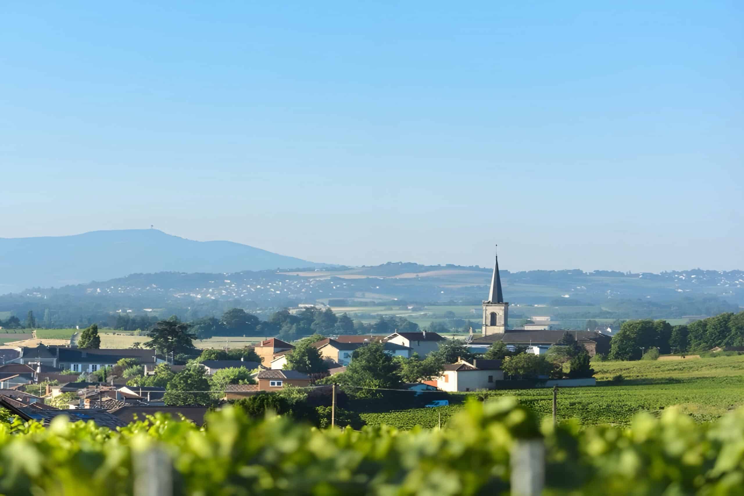 Seine River Mill field view, charity auction travel packages, vacation fundraising, travel fundraising, fundraising ideas, charity ideas, silent auction items, travel fundraising events