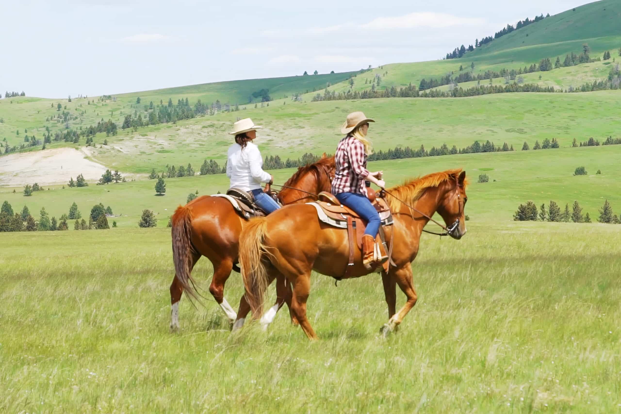 women riding two different horses in green valley, charity auction travel packages, vacation fundraising, travel fundraising, fundraising ideas, charity ideas, silent auction items, travel fundraising events